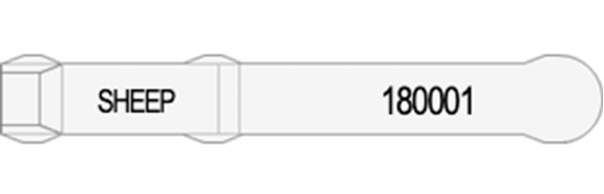 Picture of Western Australia Visual Tag - Layout 1