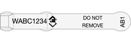 Picture of Western Australia NLIS Visual Tag - Layout 2