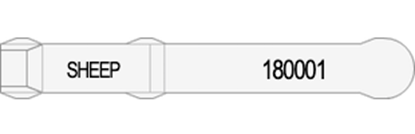 Picture of South Australia Visual Tag - Layout 1